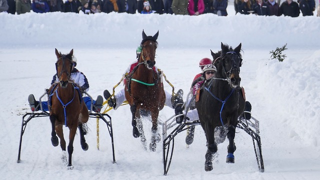 力犯规引起 力犯规引起