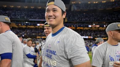 球场上的辉 球场上的辉