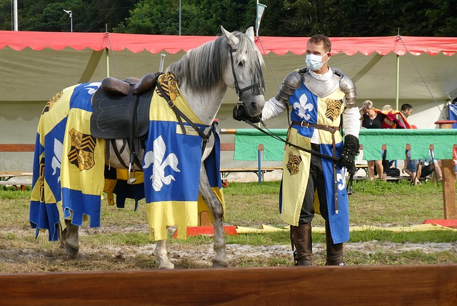 力的标准 力的标准