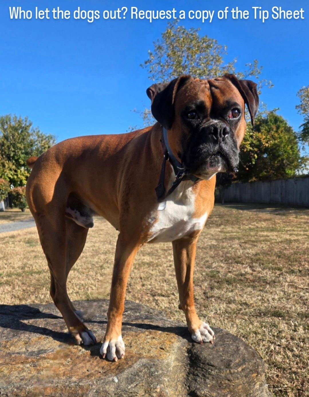 我们可以看 我们可以看