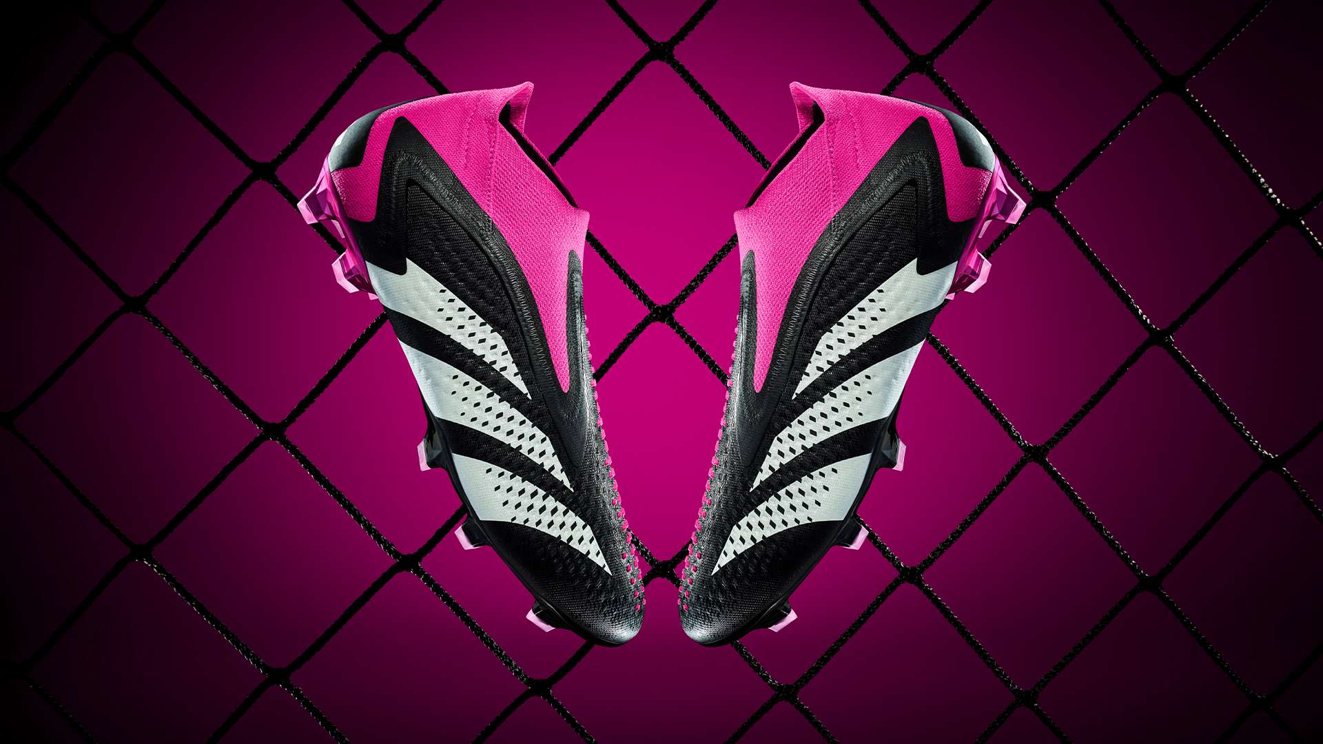 注的对决在 注的对决在